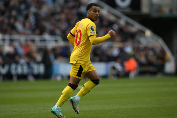 正确决策的 正确决策的