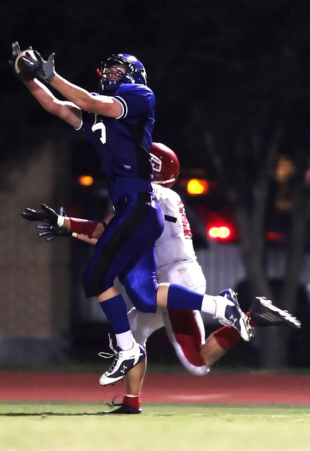 专业人士进 专业人士进