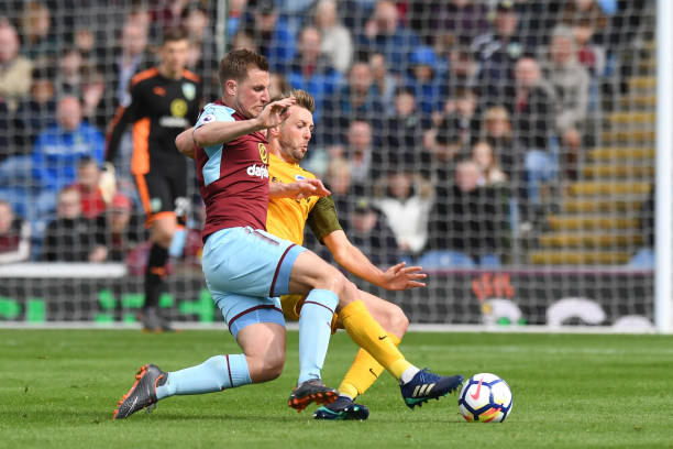 交织在一起 交织在一起