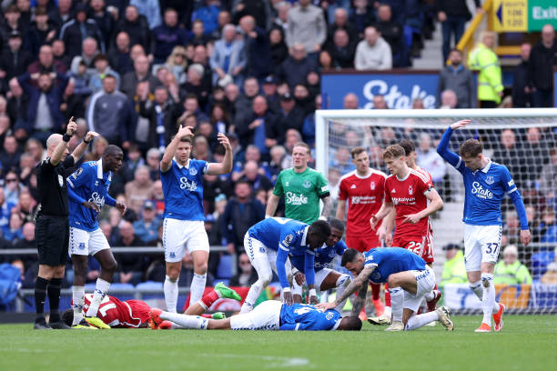 费或提供更 费或提供更