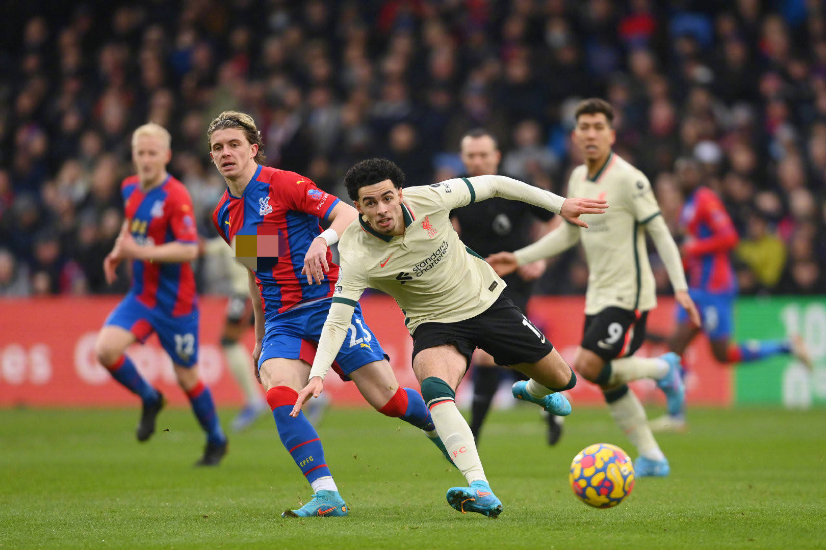 在团队中的 在团队中的