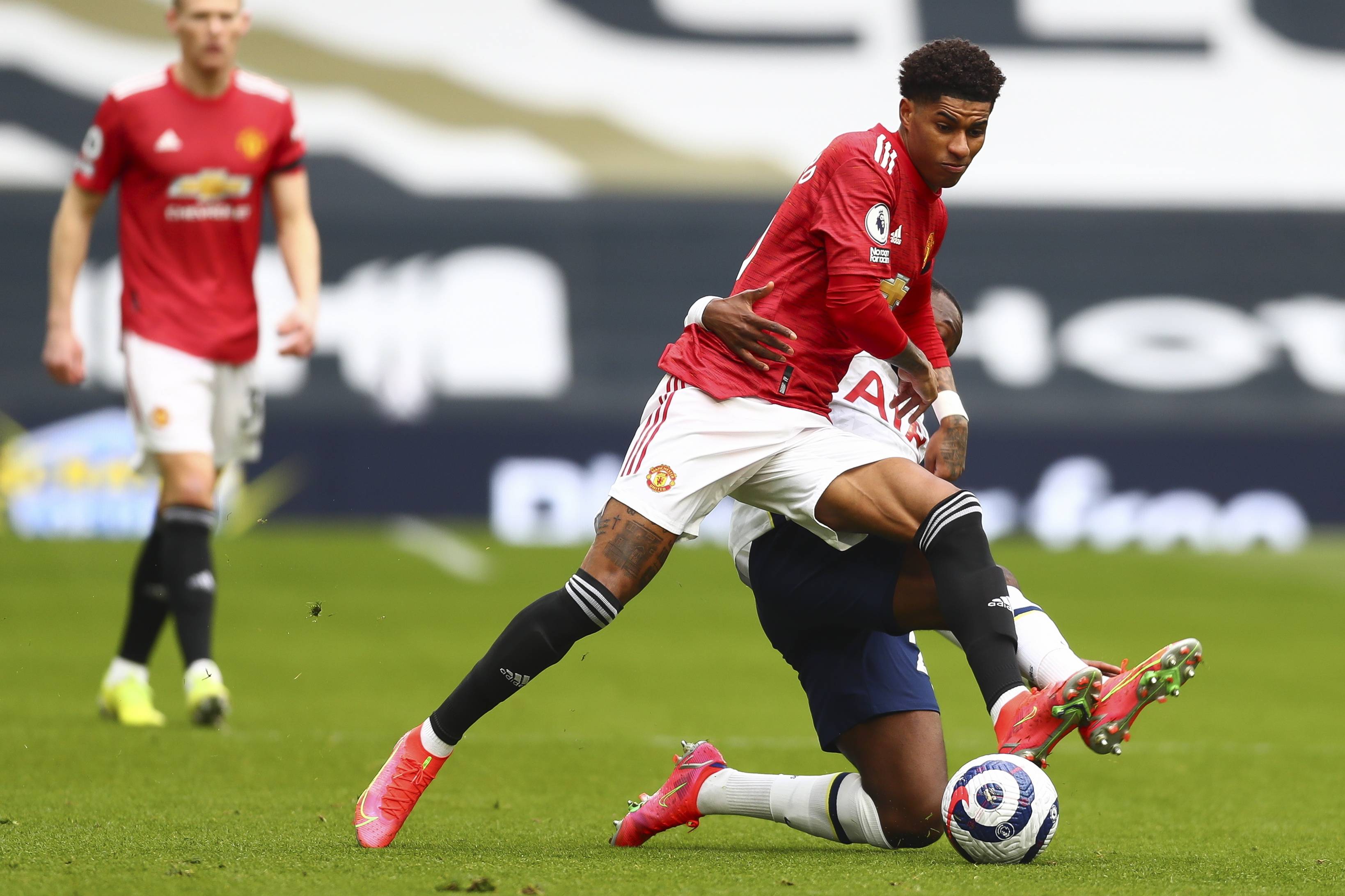 已属于一种 已属于一种